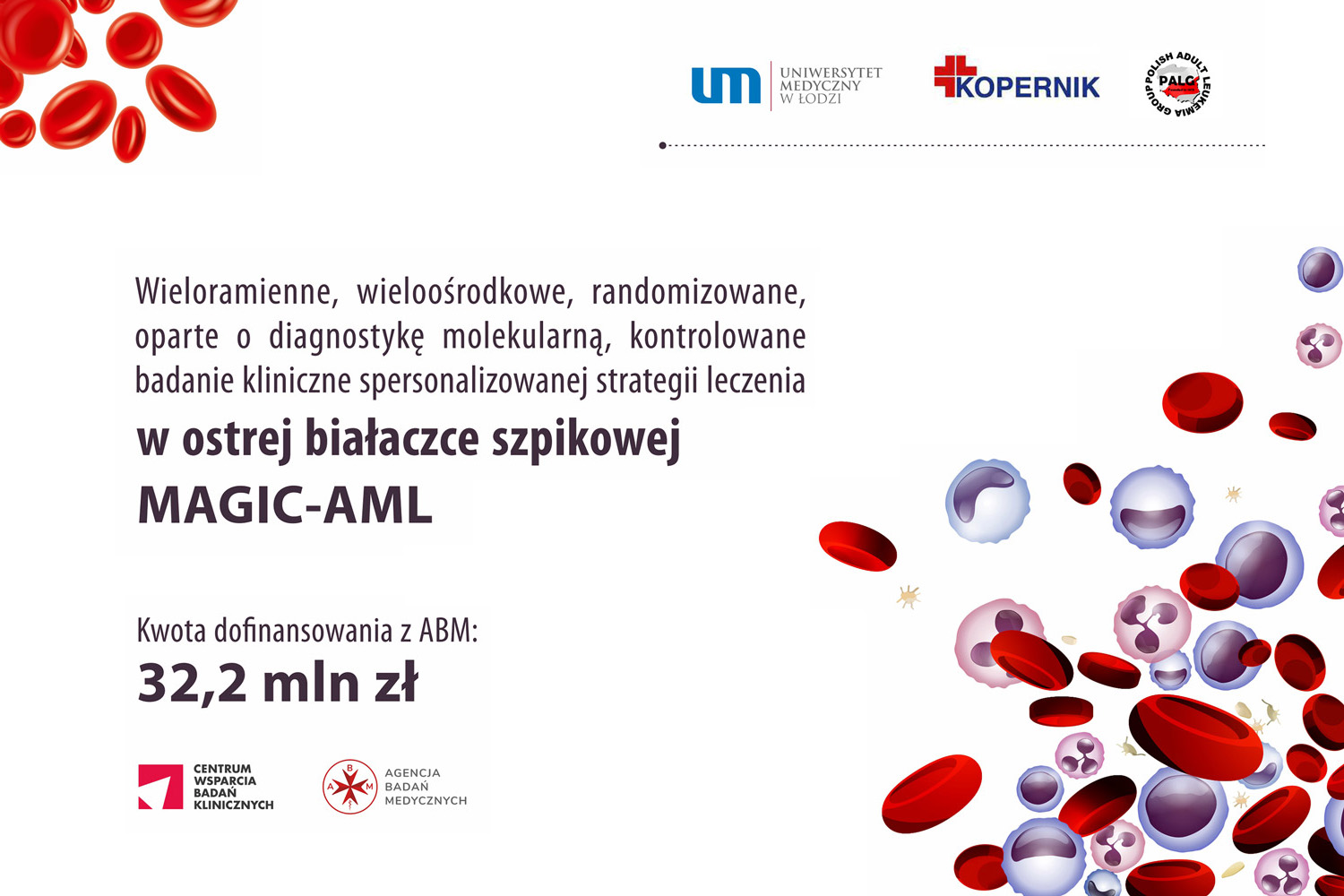 MAGIC-AML-bialaczka_26.08 miniatura